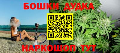 стафф Славгород